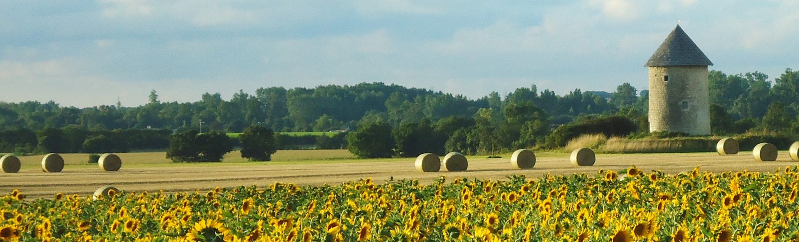 RÃ©sultat de recherche d'images pour "DÅuil-sur-le-Mignon"