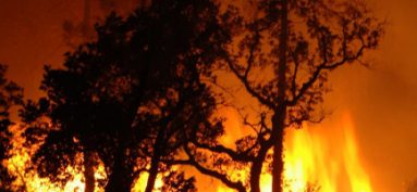 Prévention des incendies de forêt